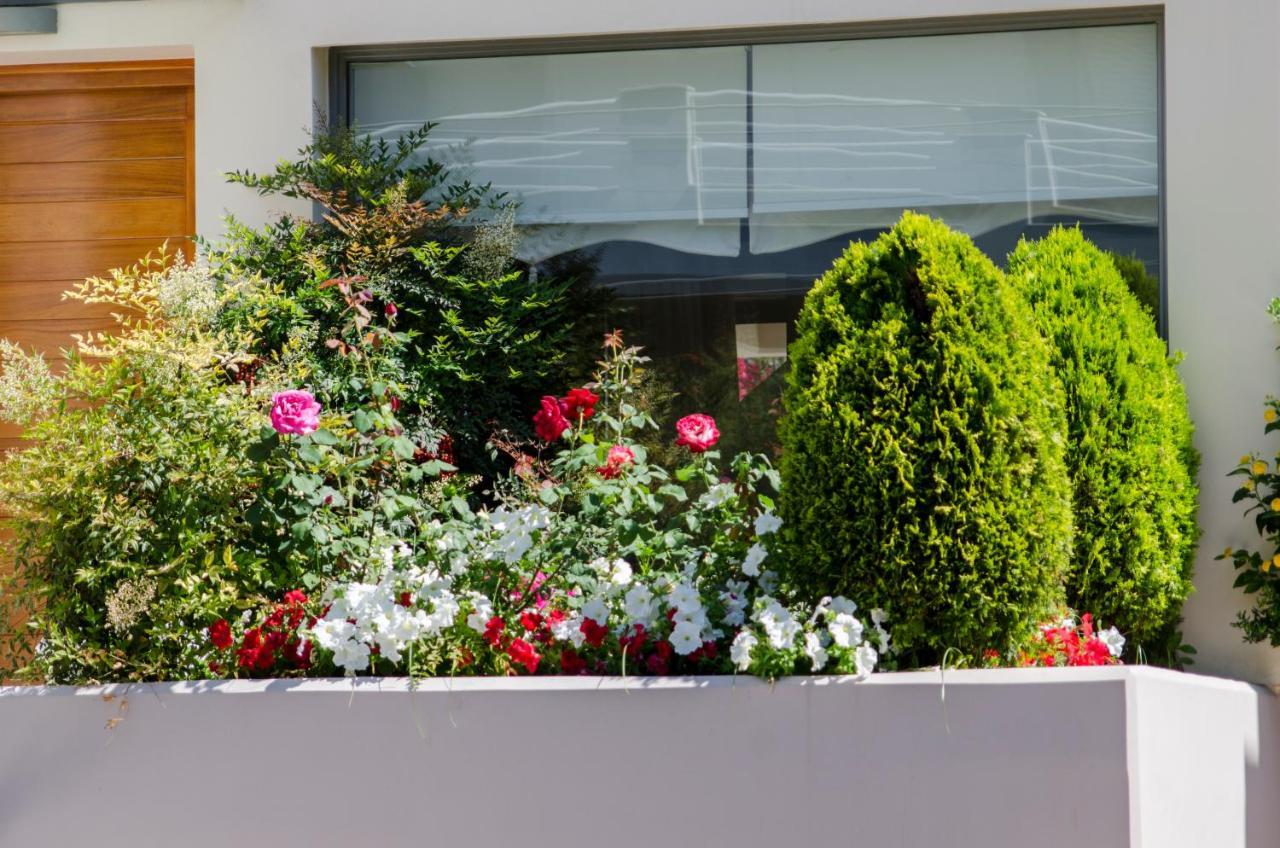 Villa Serenity Pórto Ráfti المظهر الخارجي الصورة