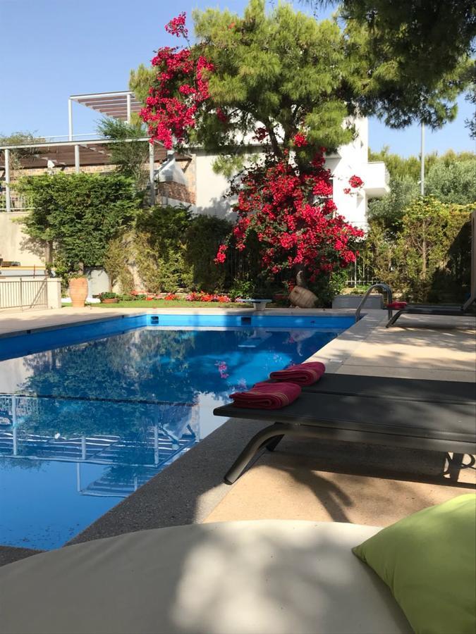 Villa Serenity Pórto Ráfti المظهر الخارجي الصورة